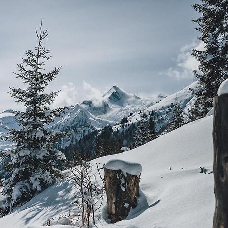 Appartementhaus Toni Inklusive Zell Am See - Kaprun Sommerkarte Exteriér fotografie