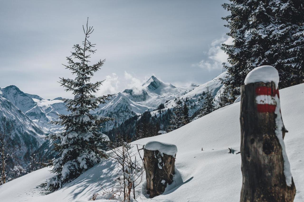 Appartementhaus Toni Inklusive Zell Am See - Kaprun Sommerkarte Exteriér fotografie